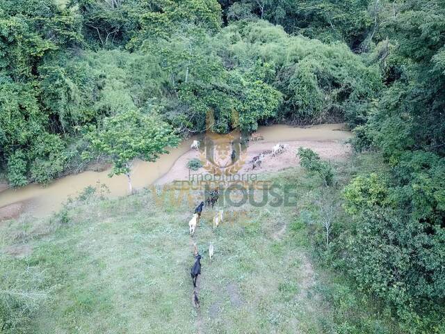 Fazenda para Venda em Cocalzinho de Goiás - 5