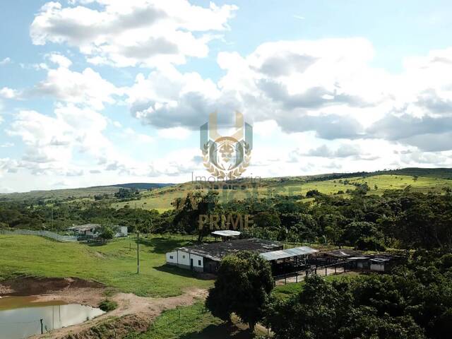 Fazenda para Venda em Cocalzinho de Goiás - 4
