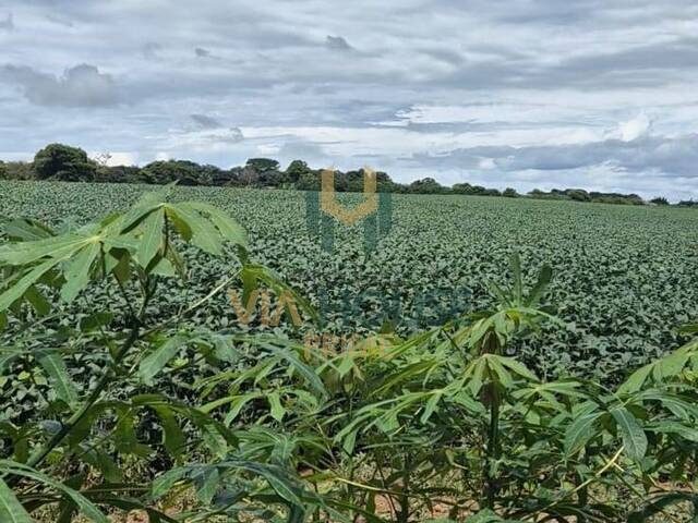 #359 - Chácara para Venda em Brasília - DF - 2