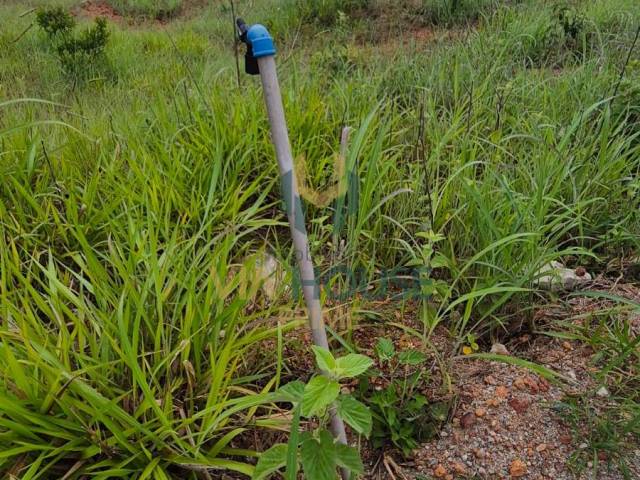 Terreno para Venda em Brasília - 4